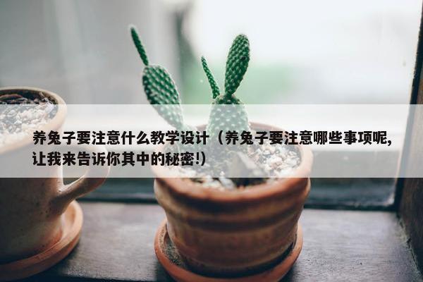 养兔子要注意什么教学设计（养兔子要注意哪些事项呢,让我来告诉你其中的秘密!）