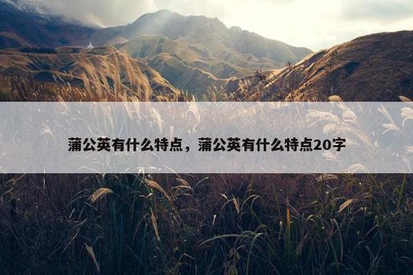 蒲公英有什么特点，蒲公英有什么特点20字