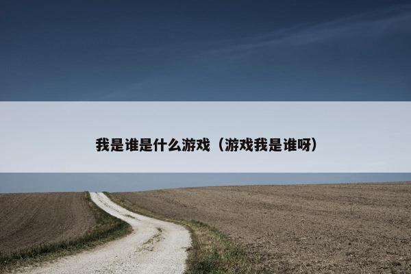 我是谁是什么游戏（游戏我是谁呀）