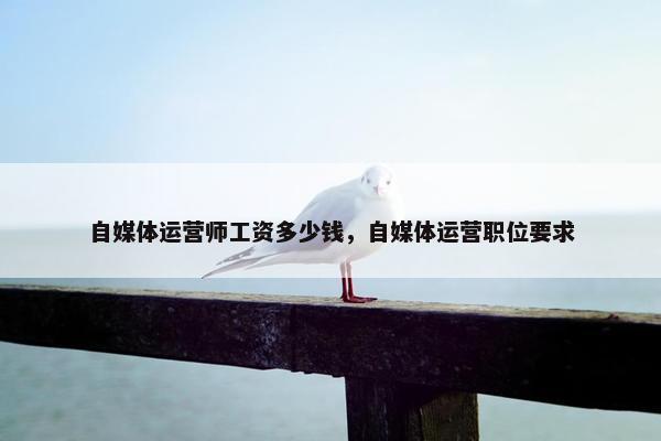 自媒体运营师工资多少钱，自媒体运营职位要求