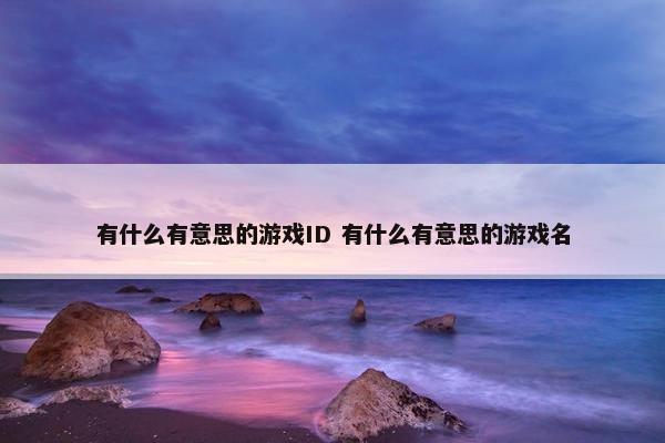 有什么有意思的游戏ID 有什么有意思的游戏名