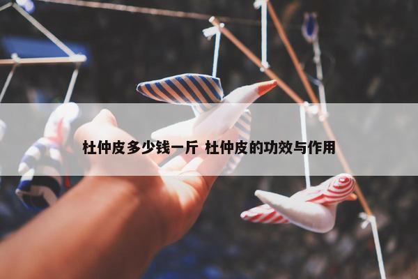 杜仲皮多少钱一斤 杜仲皮的功效与作用