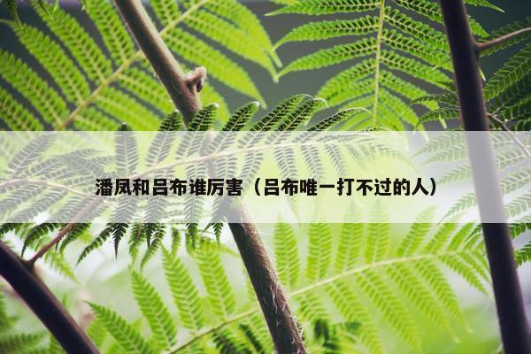 潘凤和吕布谁厉害（吕布唯一打不过的人）