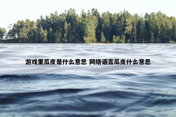 游戏里瓜皮是什么意思 网络语言瓜皮什么意思