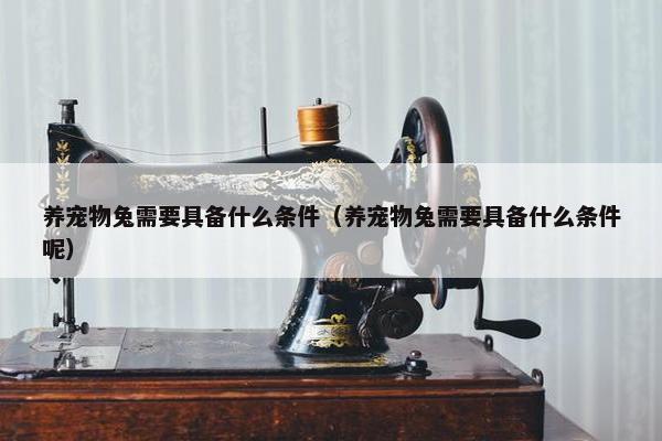 养宠物兔需要具备什么条件（养宠物兔需要具备什么条件呢）