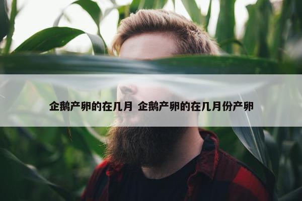 企鹅产卵的在几月 企鹅产卵的在几月份产卵