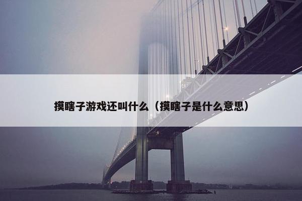 摸瞎子游戏还叫什么（摸瞎子是什么意思）