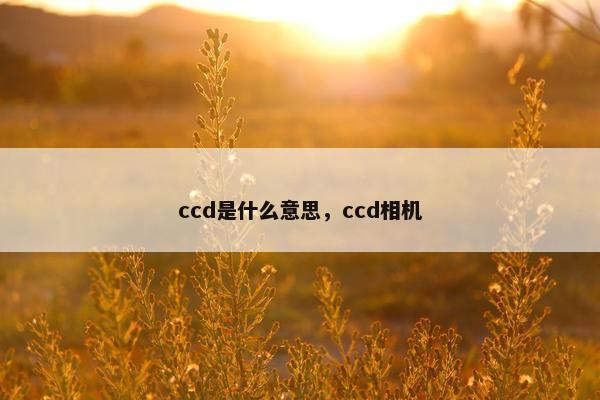 ccd是什么意思，ccd相机