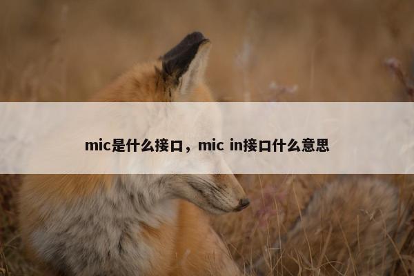 mic是什么接口，mic in接口什么意思