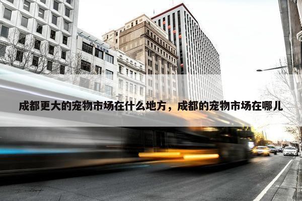 成都更大的宠物市场在什么地方，成都的宠物市场在哪儿