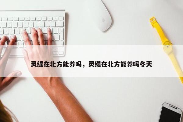 灵缇在北方能养吗，灵缇在北方能养吗冬天