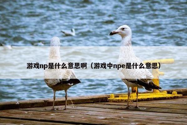 游戏np是什么意思啊（游戏中npe是什么意思）