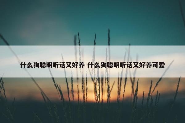 什么狗聪明听话又好养 什么狗聪明听话又好养可爱