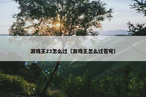 游戏王23怎么过（游戏王怎么过苍穹）