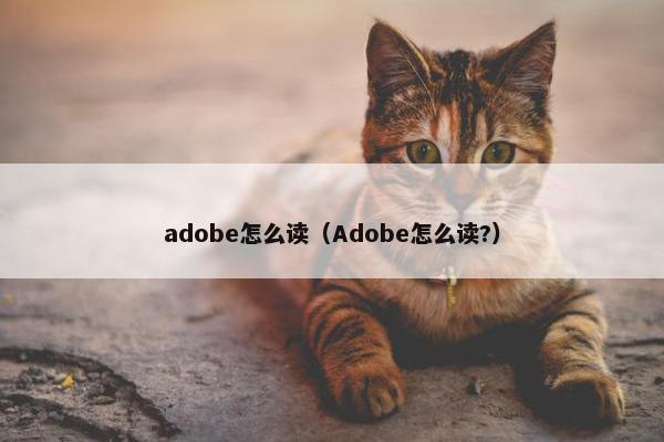 adobe怎么读（Adobe怎么读?）