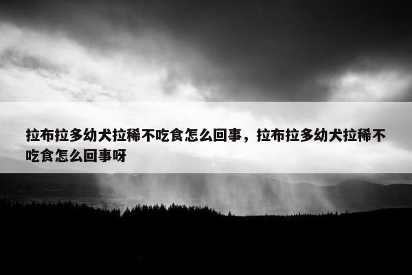 拉布拉多幼犬拉稀不吃食怎么回事，拉布拉多幼犬拉稀不吃食怎么回事呀