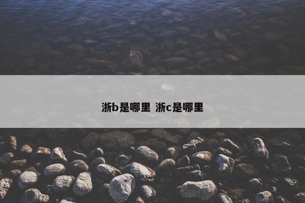 浙b是哪里 浙c是哪里