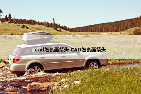 cad怎么画箭头 CAD怎么画箭头