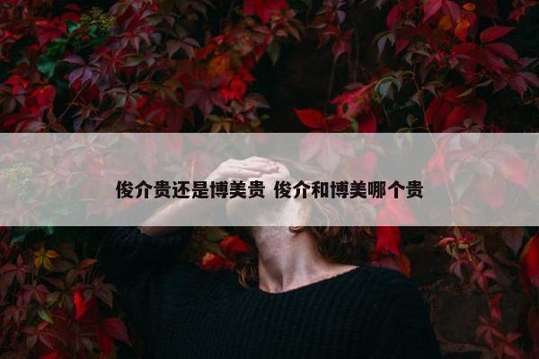 俊介贵还是博美贵 俊介和博美哪个贵