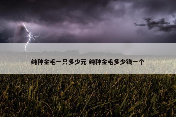 纯种金毛一只多少元 纯种金毛多少钱一个