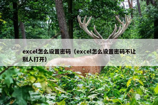 excel怎么设置密码（excel怎么设置密码不让别人打开）