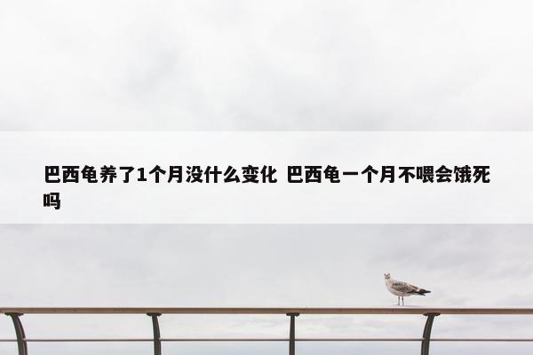 巴西龟养了1个月没什么变化 巴西龟一个月不喂会饿死吗