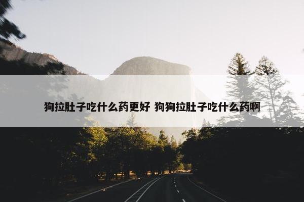 狗拉肚子吃什么药更好 狗狗拉肚子吃什么药啊