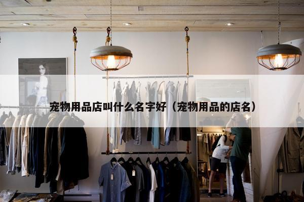 宠物用品店叫什么名字好（宠物用品的店名）