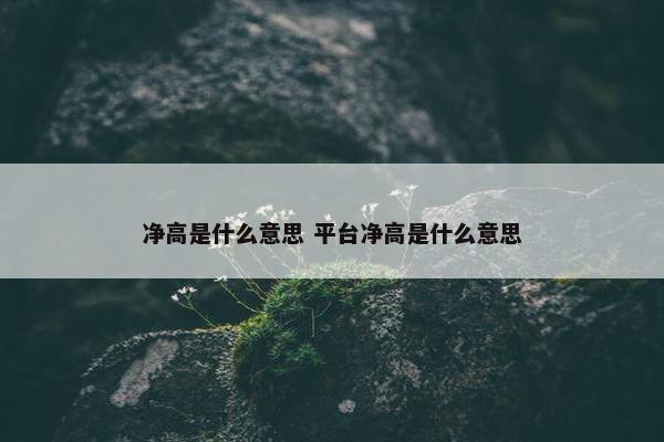 净高是什么意思 平台净高是什么意思