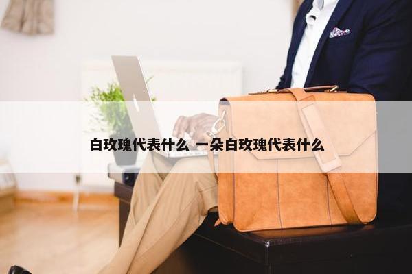 白玫瑰代表什么 一朵白玫瑰代表什么