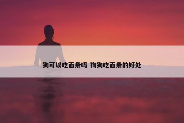 狗可以吃面条吗 狗狗吃面条的好处