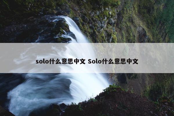 solo什么意思中文 Solo什么意思中文