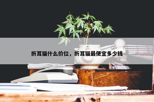 折耳猫什么价位，折耳猫最便宜多少钱