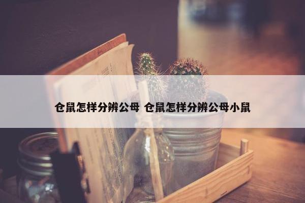 仓鼠怎样分辨公母 仓鼠怎样分辨公母小鼠