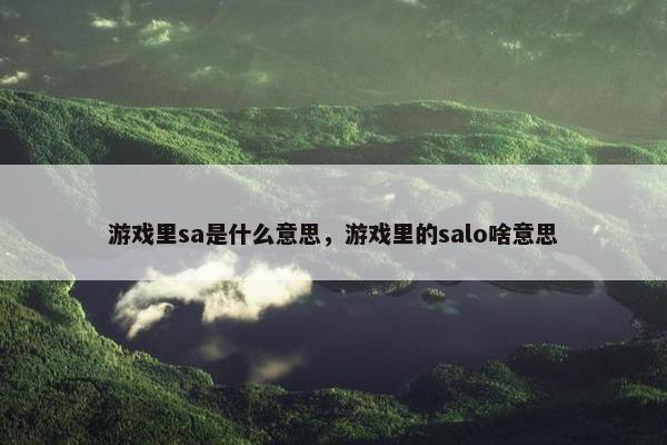 游戏里sa是什么意思，游戏里的salo啥意思