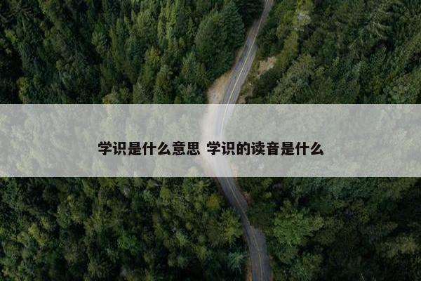 学识是什么意思 学识的读音是什么