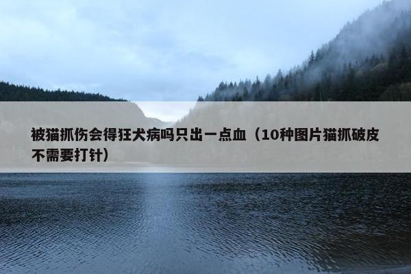 被猫抓伤会得狂犬病吗只出一点血（10种图片猫抓破皮不需要打针）