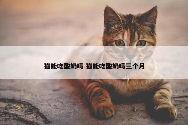 猫能吃酸奶吗 猫能吃酸奶吗三个月