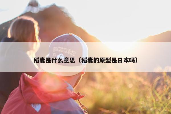 稻妻是什么意思（稻妻的原型是日本吗）