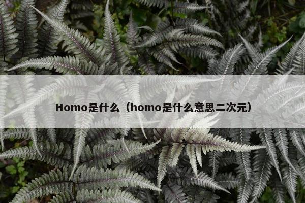 Homo是什么（homo是什么意思二次元）