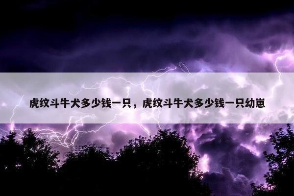 虎纹斗牛犬多少钱一只，虎纹斗牛犬多少钱一只幼崽