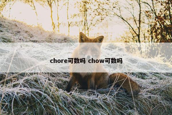 chore可数吗 chow可数吗