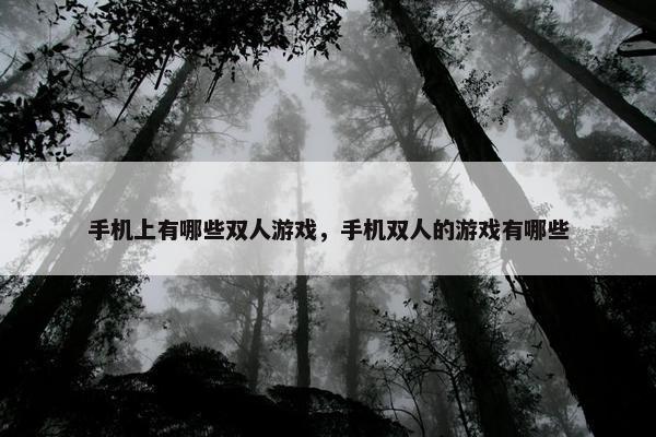 手机上有哪些双人游戏，手机双人的游戏有哪些