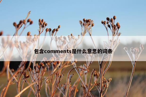 包含comments是什么意思的词条