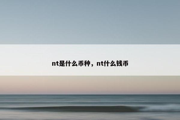 nt是什么币种，nt什么钱币