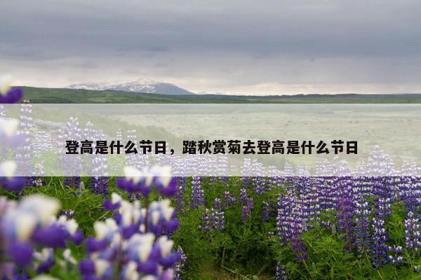 登高是什么节日，踏秋赏菊去登高是什么节日