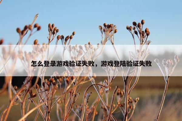 怎么登录游戏验证失败，游戏登陆验证失败