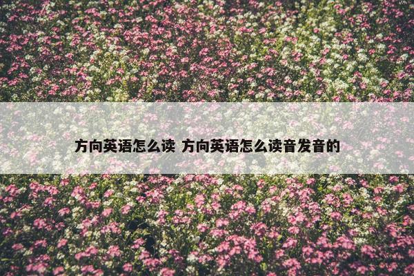 方向英语怎么读 方向英语怎么读音发音的