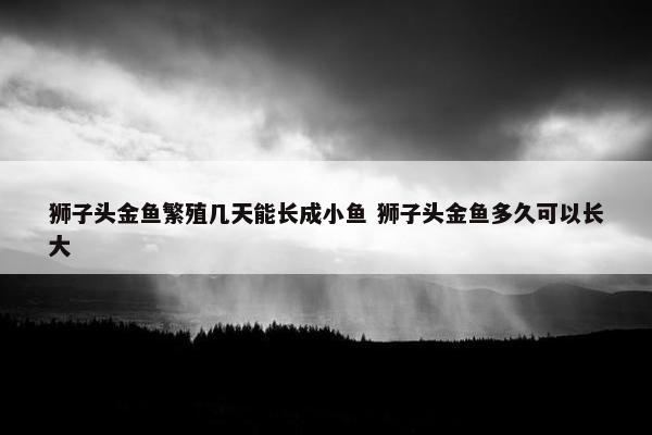 狮子头金鱼繁殖几天能长成小鱼 狮子头金鱼多久可以长大