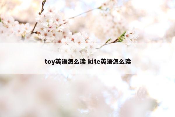 toy英语怎么读 kite英语怎么读